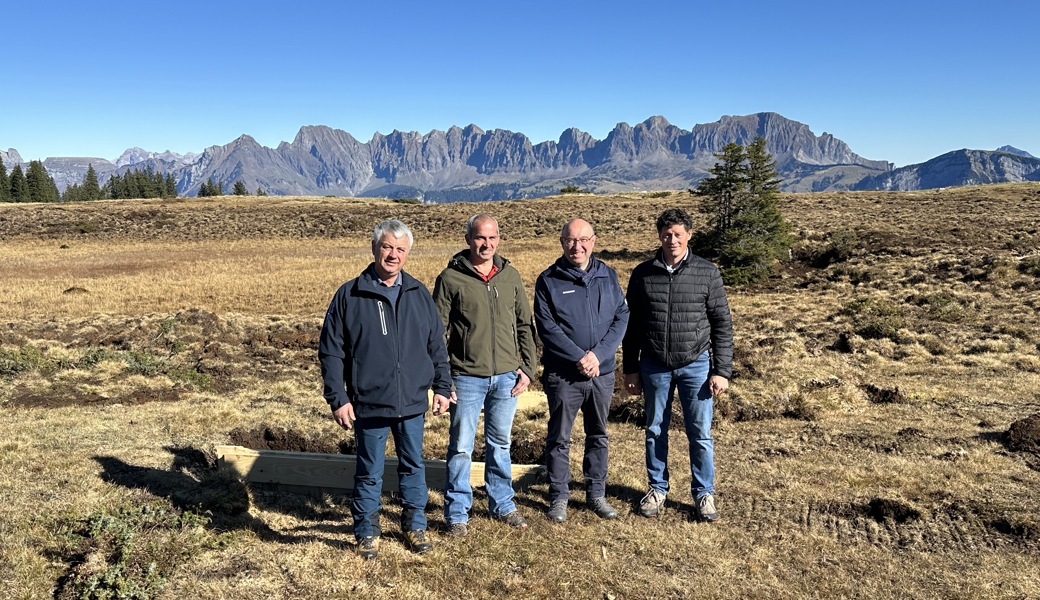 4000-jähriges Moor auf Alp Tamons kann weiterwachsen 4000-jähriges Moor auf Alp Tamons kann weiterwachsen