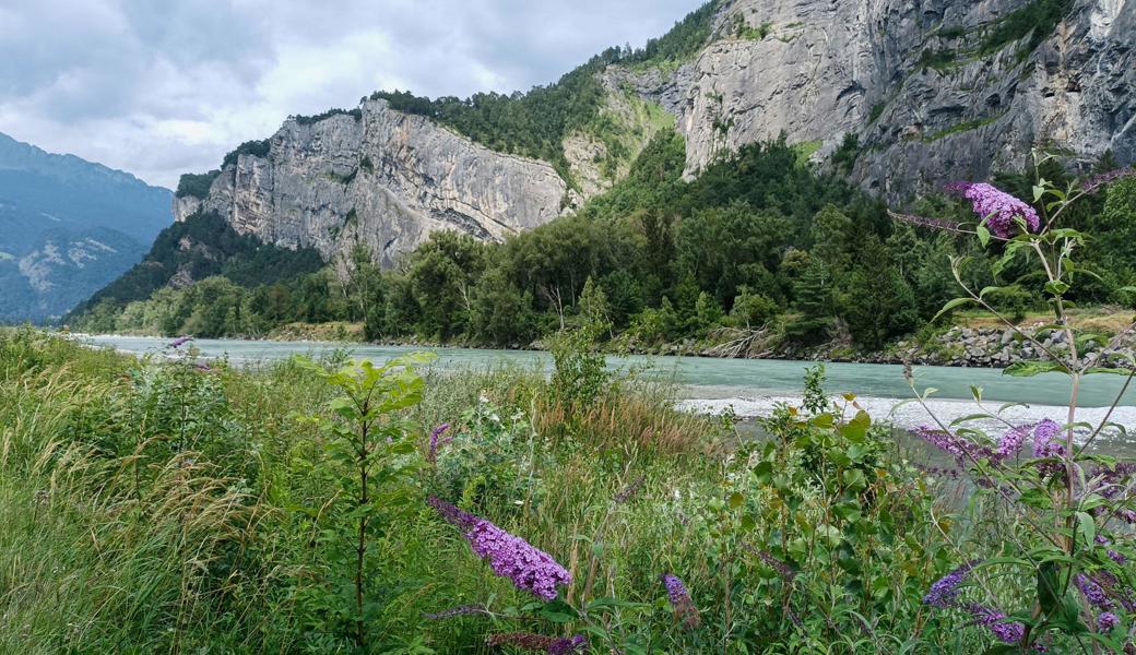 Mit dem Velo dem Rhein und der Landquart entlang bis Grüsch Mit dem Velo dem Rhein und der Landquart entlang bis Grüsch