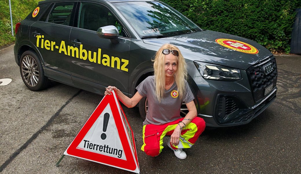 «Am 1. August glühen die Telefone»: Chefin der neuen Tier-Ambulanz über Katzen, die dann vom Balkon springen «Am 1. August glühen die Telefone»: Chefin der neuen Tier-Ambulanz über Katzen, die dann vom Balkon springen
