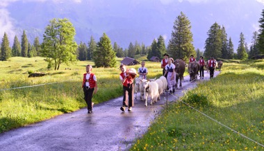 Kuhglocken, Trachten und eine Schnapsidee