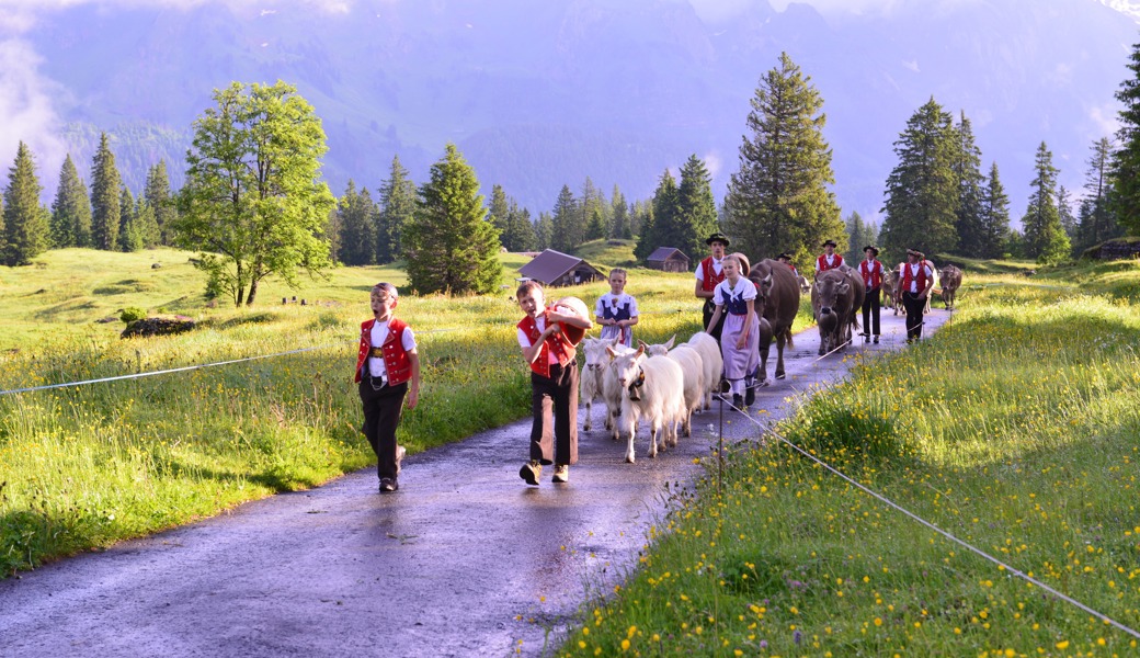 Kuhglocken, Trachten und eine Schnapsidee