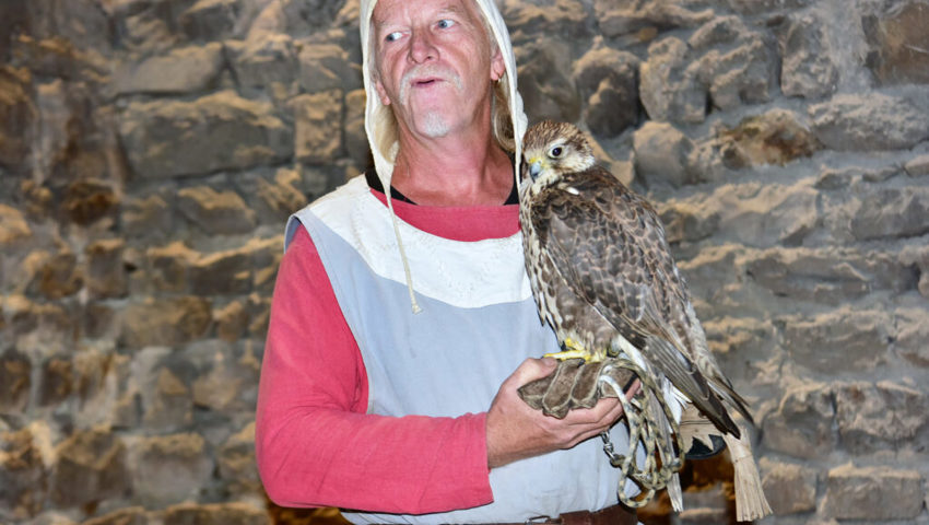  Der Mann mit dem Falken hat viel zu erzählen. 