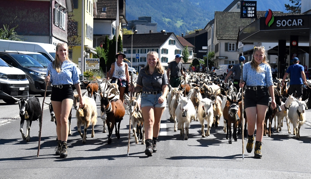 Die Ziegen wurden auf den Marktplatz in Buchs geführt.