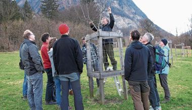 «Bäume schneiden ist keine Hexerei»: Für die IG Rheintaler Cider ist die Pflege der Obstbäume wichtig