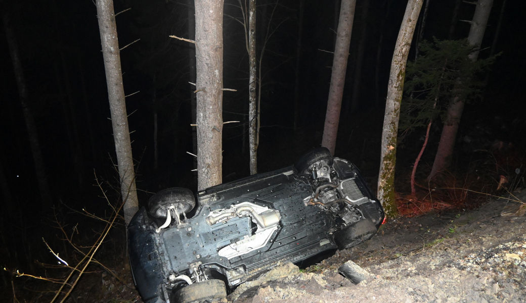 Der Verunfallte hatte Glück im Unglück: Er blieb mit seinem Auto an einem Baum hängen - sonst wäre er noch weiter in die Tiefe gestürzt.