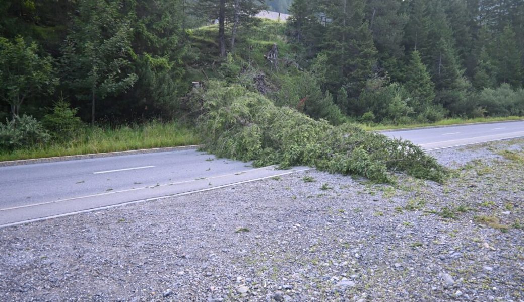  In Triesenberg/Steg ist die Strasse Richtung Malbun wegen einer widerrechtlich gefällten Tanne gesperrt. 