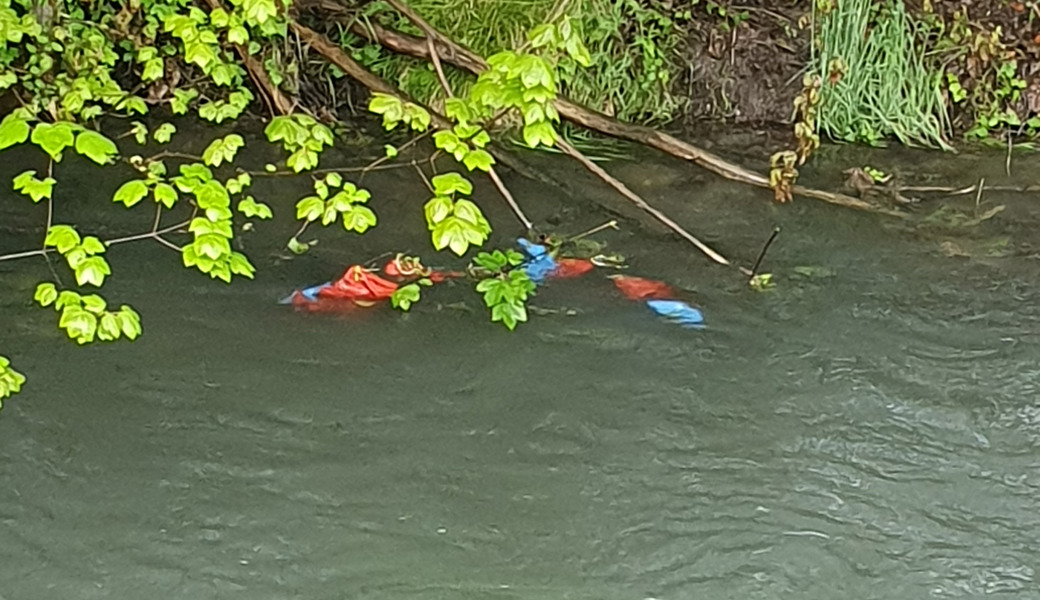 Die leeren Hundekotbeutel könnten absichtlich in den Werdenberger Binnenkanal geworfen worden sein.