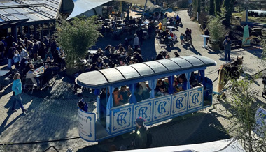 Von der Pferdestärke zur Elektrokraft: Lernende bauen Kinderzoo-Tram