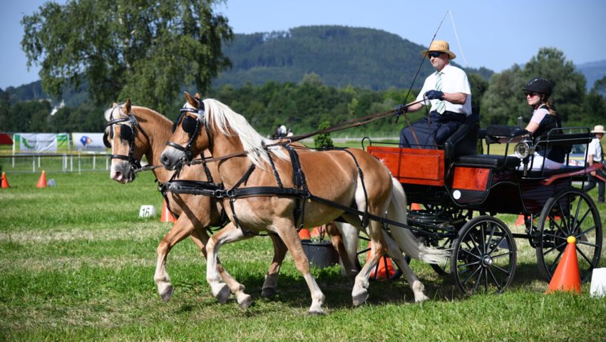  Urs und Laurina Bicker erreichten den 3. Rang im Jump &amp; Drive.