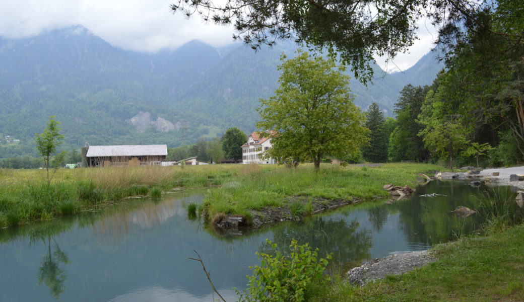  Die Umweltgruppe Wartau setzte sich für die Natur ein. Nun hat sich der Verein aufgelöst. Im Bild die Höwiesen-Gewässerläufe, Wartau. 