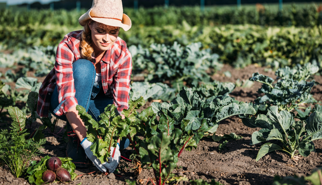 Ausbildung in der Landwirtschaft bietet gute Grundlagen