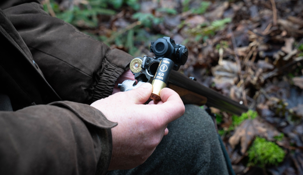 Nur den Kopf mitgenommen: Wilderer schiesst Hirsch