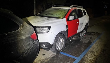 Junge Lenkerin muss nach Selbstunfall Führerschein abgeben