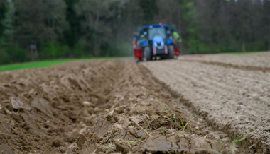 «Miserables Pflanzenbaujahr»: Nasses Wetter macht den Bauern zu schaffen