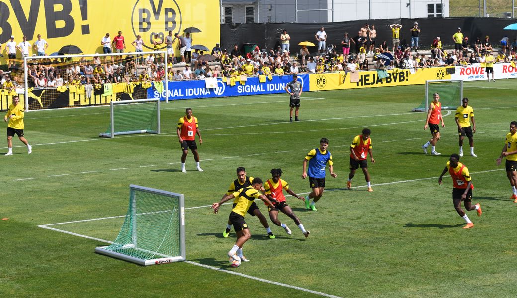 Immer eine Show für die Fans: Die Stars des BVB beim Training auf der Ri-Au.