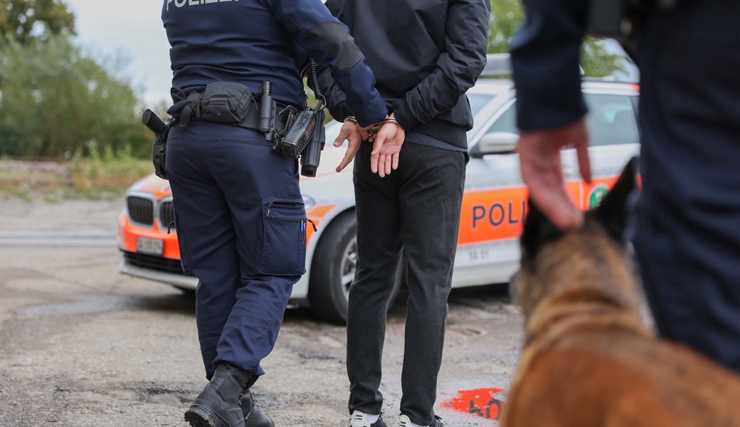 Im Zuge einer Fahndung und dank Diensthund Jorik konnte die Polizei einen tatverdächtigen Mann festnehmen.