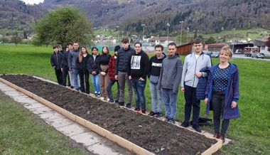 Umgebung des Oberstufenzentrums Seidenbaum im Wandel