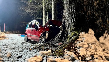 65-Jähriger prallt mit Auto frontal gegen einen Baum