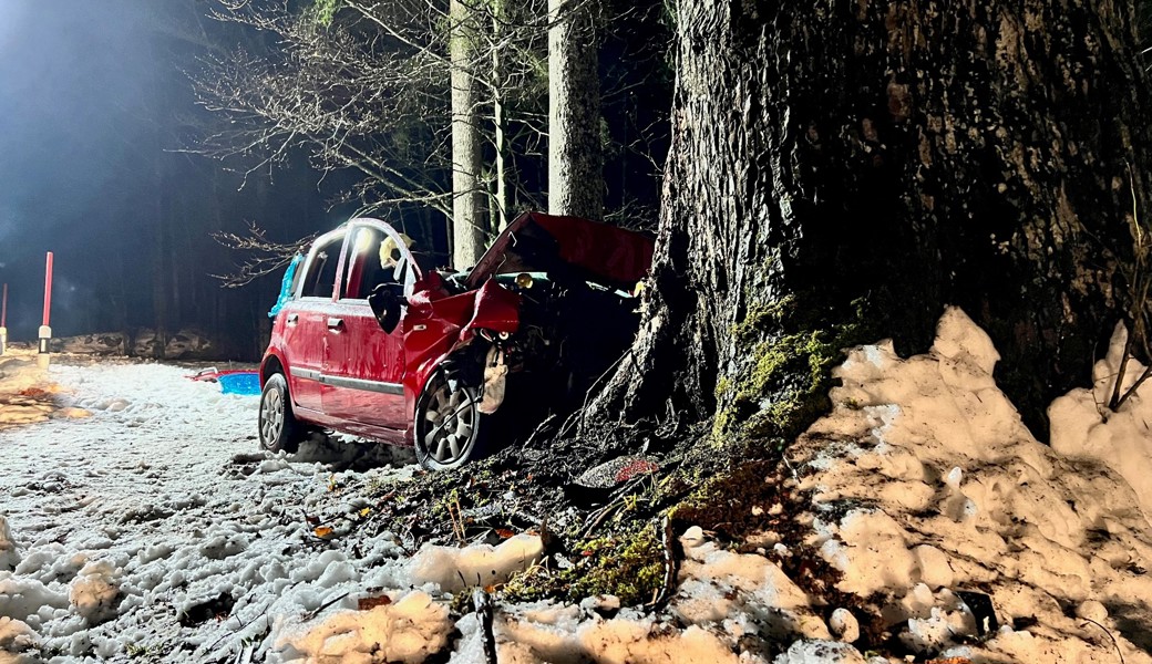 Frontal in einen Baum geprallt: Die Ursache für den Unfall ist noch unbekannt.