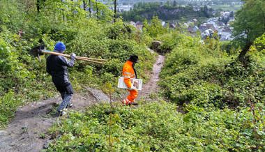 Wanderwege, Tafeln und Brücken erneuert