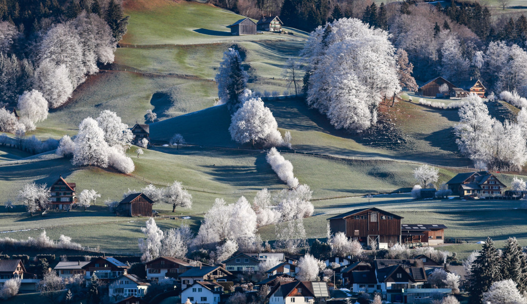 Mindestens so schön wie Schnee: Toggenburg in Raueis gekleidet