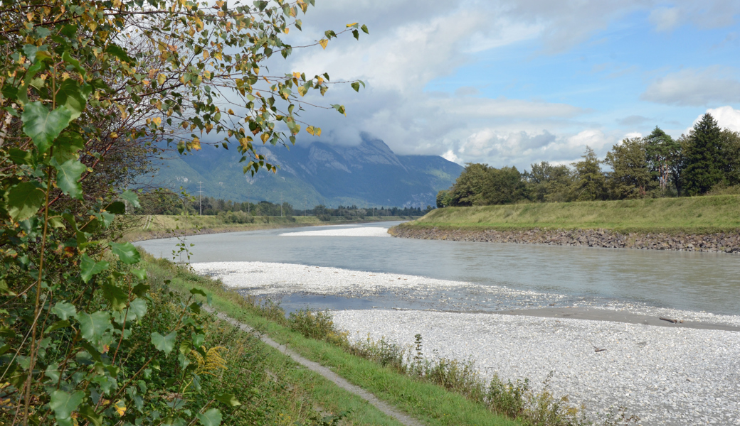 Am Rhein bei Buchs: Verunmöglicht der Trockenwiesenschutz die Flussbettaufweitung?