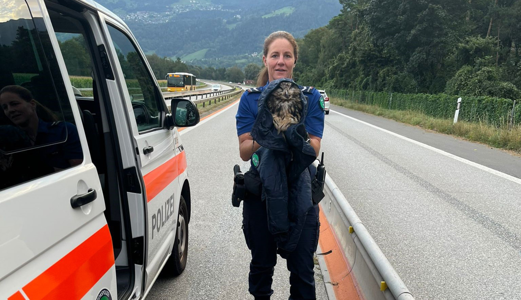 Eine Polizeipatrouille konnte den Uhu in eine Polizeijacke gehüllt von seinem ungeeigneten Landeplatz retten.