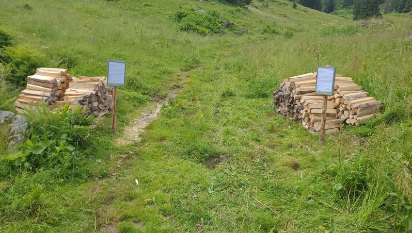 Die Holzdepots sind bereit für die Wanderinnen und Wanderer.