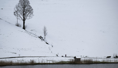 Der verschneite Schönenbodensee.