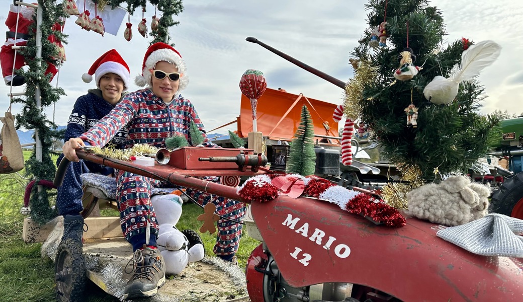 Mario Müller und Ennio Carnevale auf ihrem Einachser mit Weihnachtsdekoration.