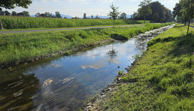 Rietaach wird zum Leben erweckt