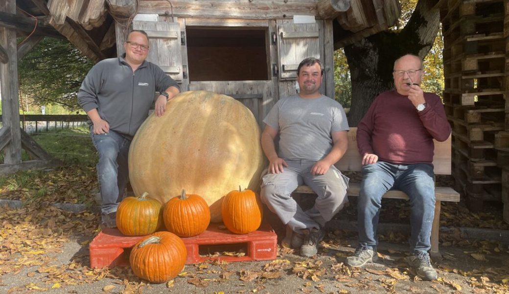  Die stolzen Kürbiszüchter (von links): Mathias Keel, Renato Willi und Hans Keel. 