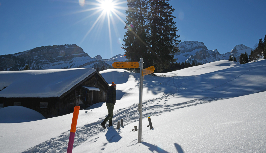 Schnee, Eis und Sonne: In der winterlichen Landschaft der Hochebene Gamperfin unterwegs