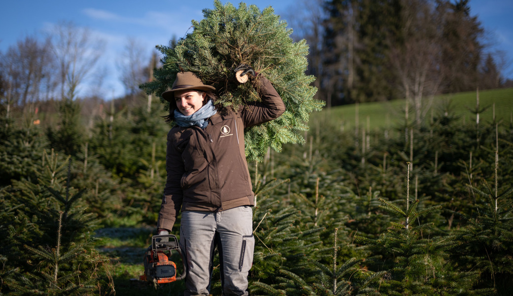 Besuch auf einer Plantage: So nachhaltig ist der regionale Christbaum