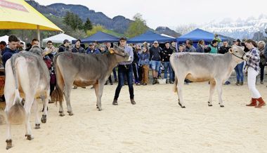 Werdenberger Zuchterfolge am 13. Pizol Open