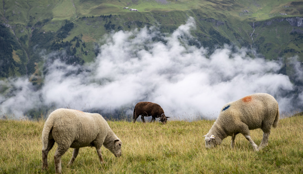 Für die Alpen stehen Investitionen an.