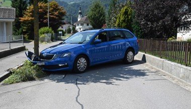 Baum am falschen Ort: Abruptes Ende der Autofahrt