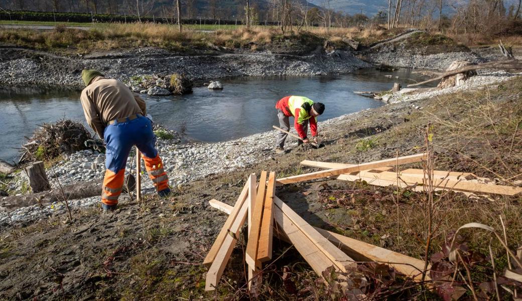 Revitalisierung auf der Zielgerade: 3380 Bäume und Sträucher gepflanzt