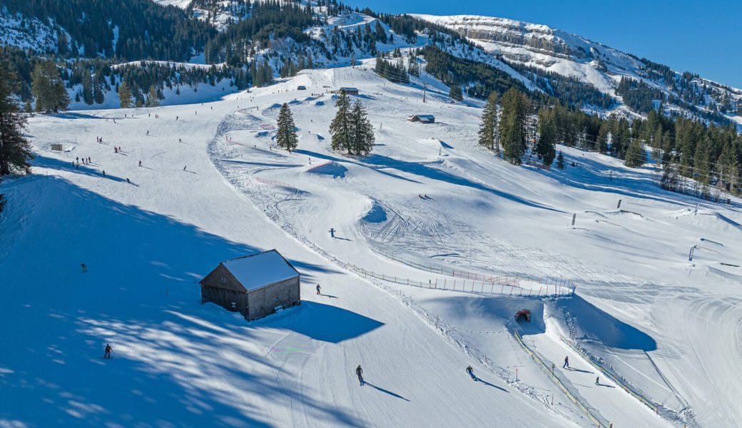  Ein Blick auf die Webcams zeigt: So strahlend weiss wie auf diesem Archivbild ist es derzeit im Obertoggenburg nicht. 