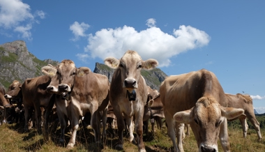 Die Ortsgemeinde verkaufte ihren Anteil an der Alp Valtüsch