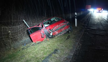 Mit dem Auto ins Wiesenbord: Sachschaden von mehr als 30'000 Franken