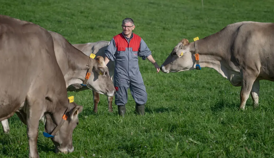 Er ist Kuhflüsterer: Christian Manser versteht die Signale der Tiere