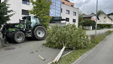 Landespolizei sucht Zeugen nach zwei Selbstunfällen