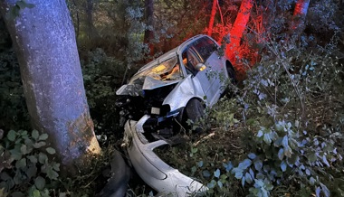 Crash im Riet: 26-Jährige prallt gegen einen Baum