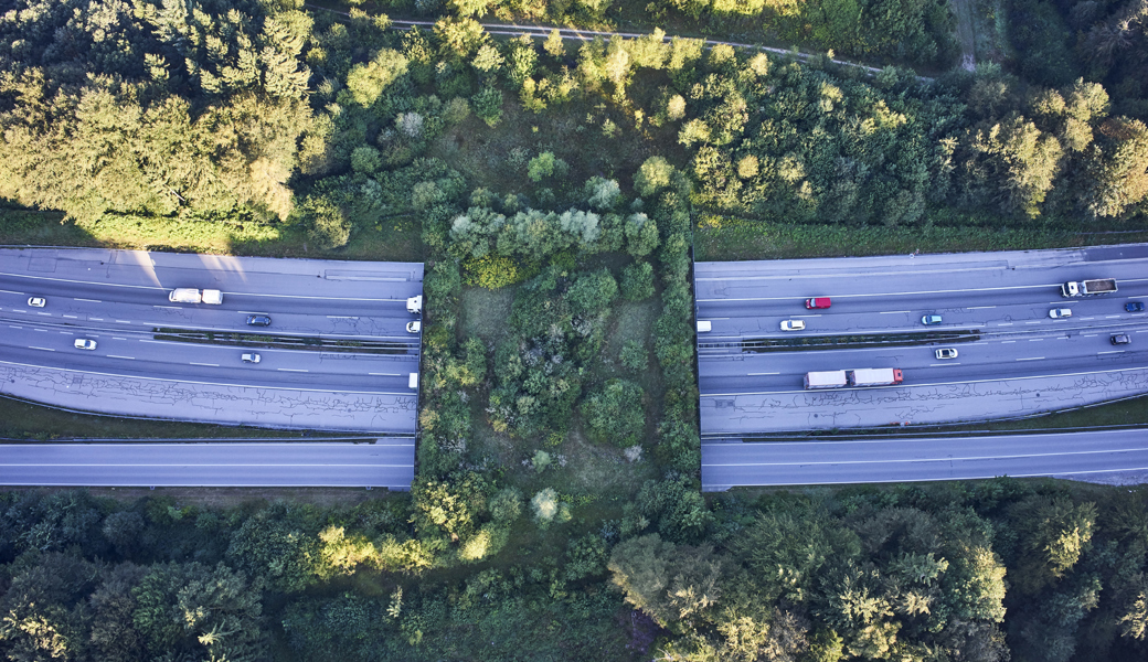 Beispiel einer Wildtierbücke über einen Autobahnabschnitt im Kanton Bern.