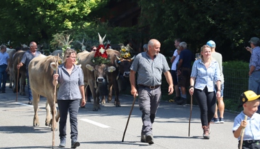 Neuer Verein gegründet: Alpabfahrt wird zum grossen Fest