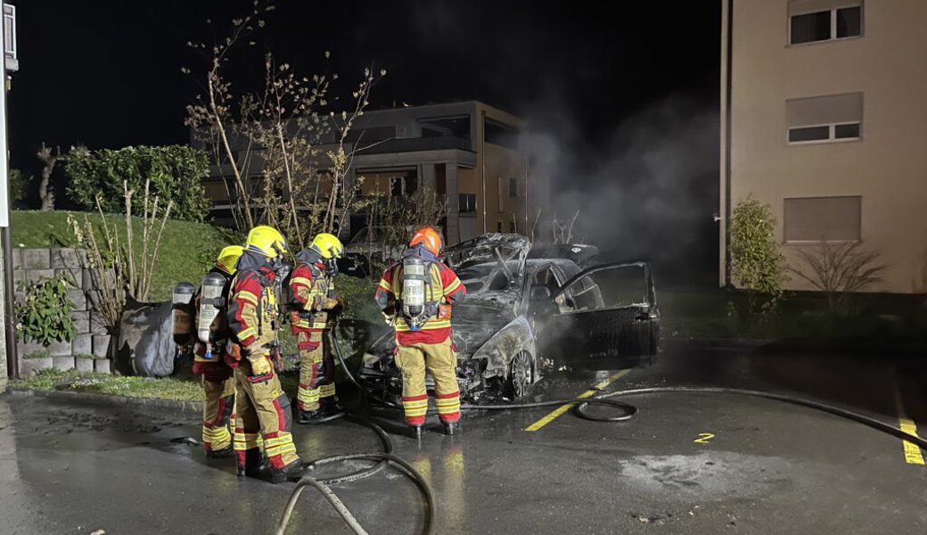  Die Feuerwehr konnte den Brand löschen. 