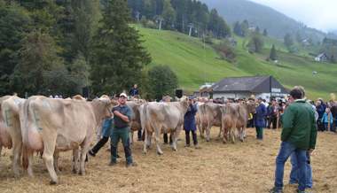 Soraya überstrahlt alle an der Jubiläumsschau in Alt St.Johann