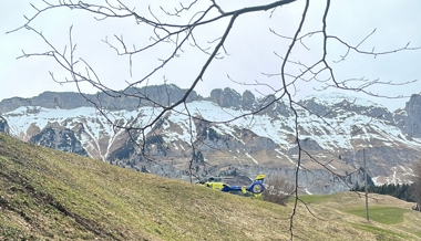 Baum drehte sich unerwartet: 43-Jähriger beim Holzen verletzt