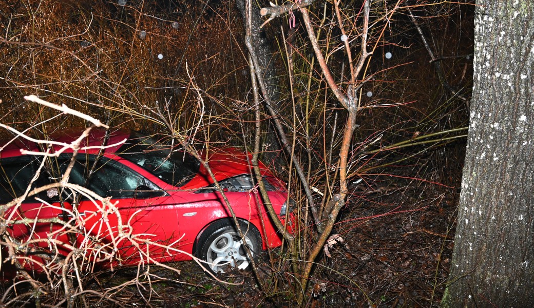 Das Auto kam in einer Kurve von der Strasse ab.